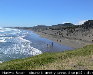 Muriwai Beach - dlouhé kilometry táhnoucí se pláž s překrásným pohledem na zelené kopce za ní..